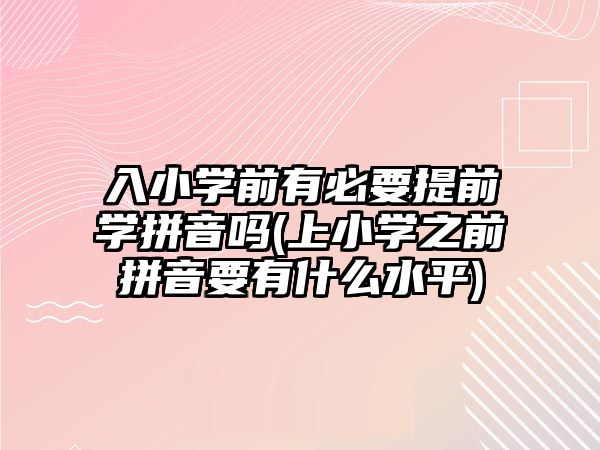 入小學(xué)前有必要提前學(xué)拼音嗎(上小學(xué)之前拼音要有什么水平)