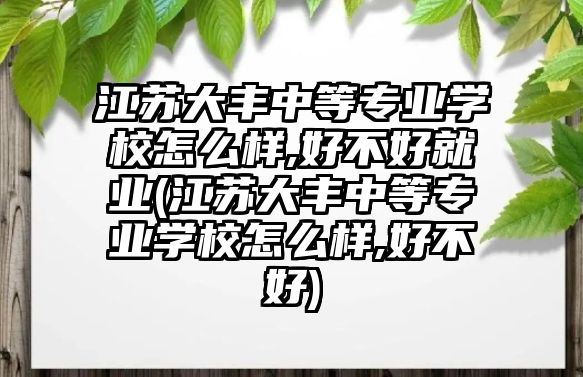 江蘇大豐中等專業(yè)學(xué)校怎么樣,好不好就業(yè)(江蘇大豐中等專業(yè)學(xué)校怎么樣,好不好)