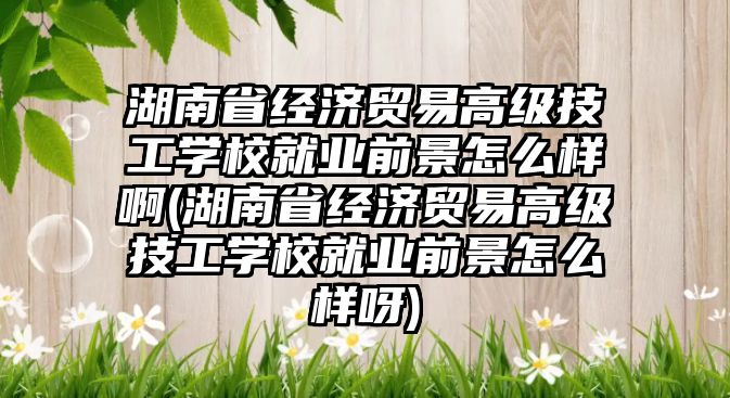 湖南省經濟貿易高級技工學校就業(yè)前景怎么樣啊(湖南省經濟貿易高級技工學校就業(yè)前景怎么樣呀)