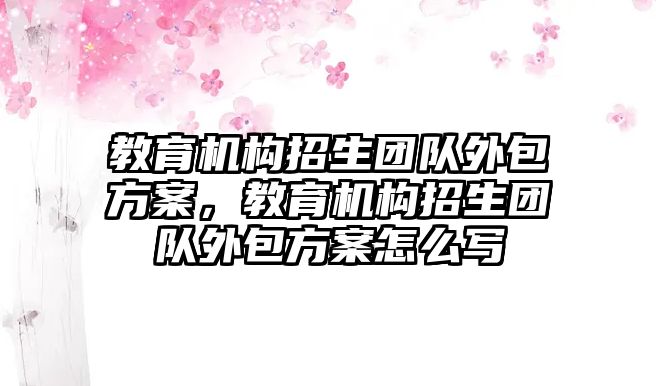 教育機構招生團隊外包方案，教育機構招生團隊外包方案怎么寫