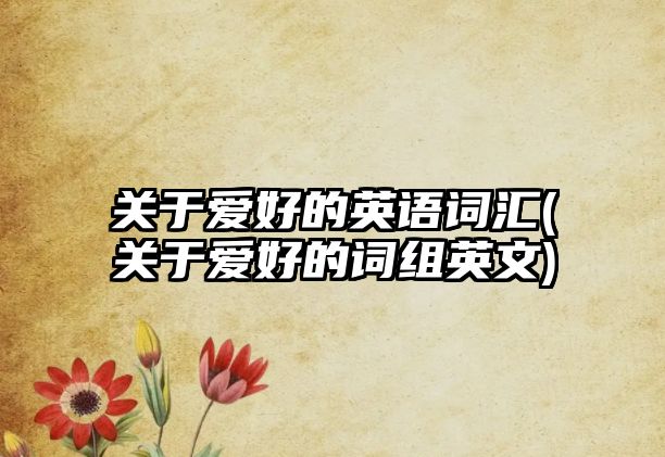 關(guān)于愛好的英語詞匯(關(guān)于愛好的詞組英文)