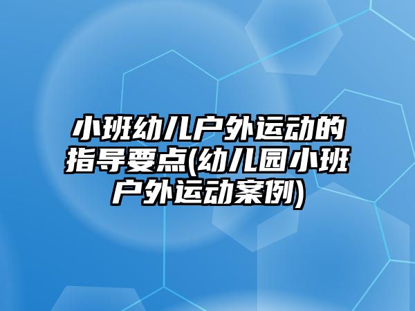 小班幼兒戶外運(yùn)動(dòng)的指導(dǎo)要點(diǎn)(幼兒園小班戶外運(yùn)動(dòng)案例)