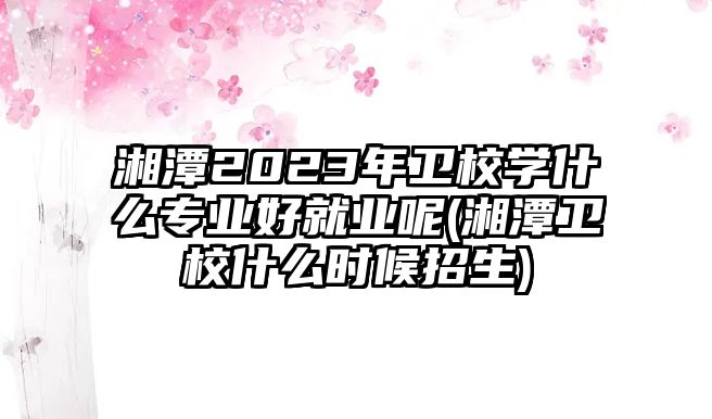 湘潭2023年衛(wèi)校學(xué)什么專業(yè)好就業(yè)呢(湘潭衛(wèi)校什么時(shí)候招生)