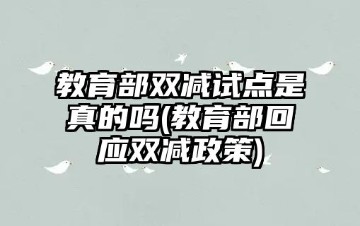 教育部雙減試點是真的嗎(教育部回應(yīng)雙減政策)