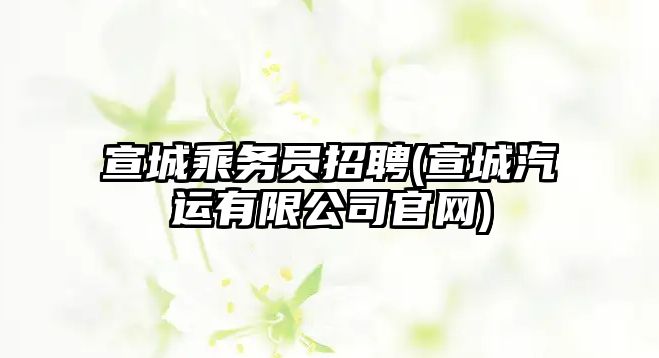 宣城乘務(wù)員招聘(宣城汽運(yùn)有限公司官網(wǎng))