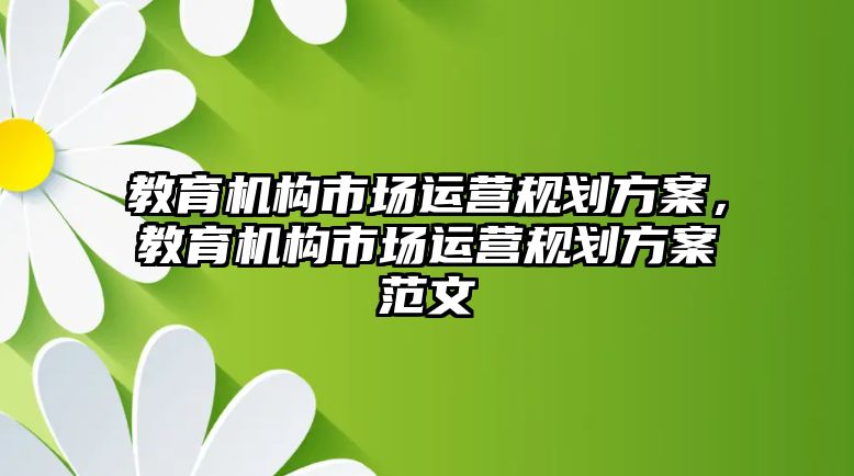 教育機(jī)構(gòu)市場運營規(guī)劃方案，教育機(jī)構(gòu)市場運營規(guī)劃方案范文