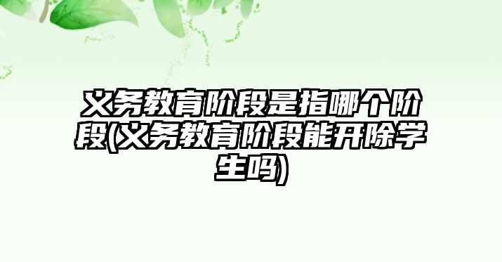 義務教育階段是指哪個階段(義務教育階段能開除學生嗎)