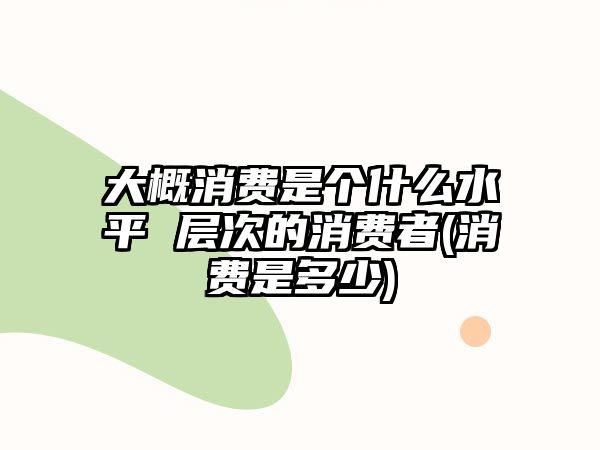 大概消費是個什么水平 層次的消費者(消費是多少)