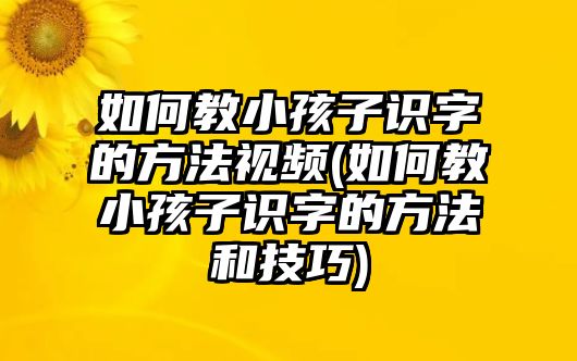 如何教小孩子識(shí)字的方法視頻(如何教小孩子識(shí)字的方法和技巧)