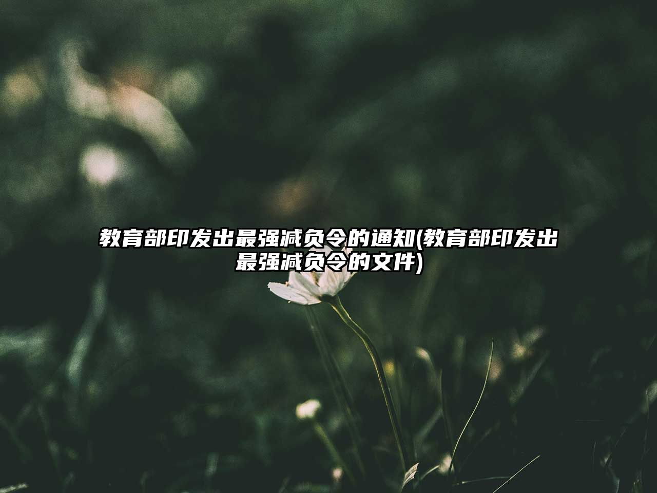 教育部印發(fā)出最強(qiáng)減負(fù)令的通知(教育部印發(fā)出最強(qiáng)減負(fù)令的文件)