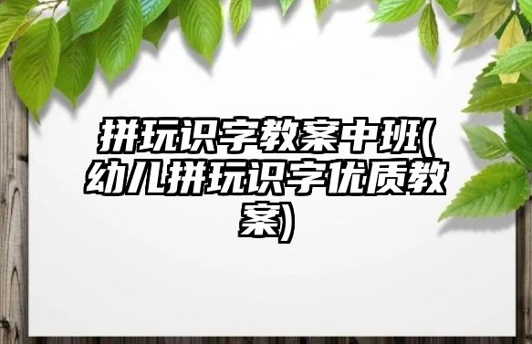 拼玩識字教案中班(幼兒拼玩識字優(yōu)質(zhì)教案)