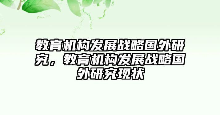 教育機構發(fā)展戰(zhàn)略國外研究，教育機構發(fā)展戰(zhàn)略國外研究現狀