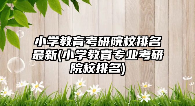 小學教育考研院校排名最新(小學教育專業(yè)考研院校排名)