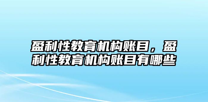 盈利性教育機(jī)構(gòu)賬目，盈利性教育機(jī)構(gòu)賬目有哪些