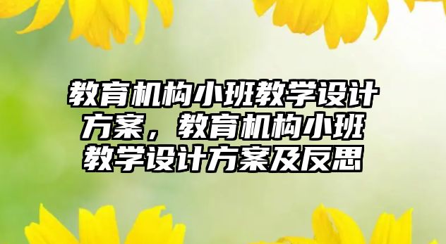 教育機構小班教學設計方案，教育機構小班教學設計方案及反思