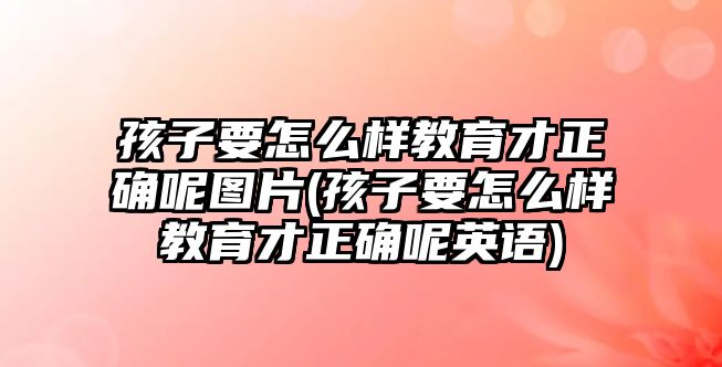 孩子要怎么樣教育才正確呢圖片(孩子要怎么樣教育才正確呢英語(yǔ))