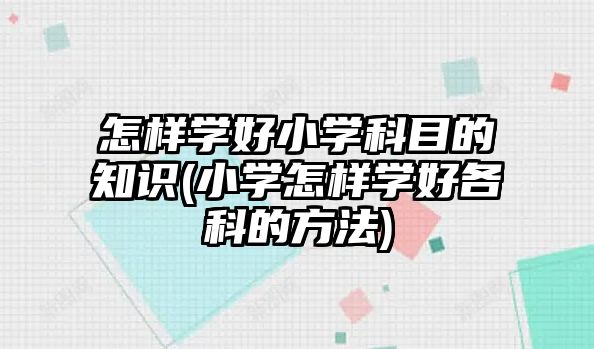 怎樣學好小學科目的知識(小學怎樣學好各科的方法)