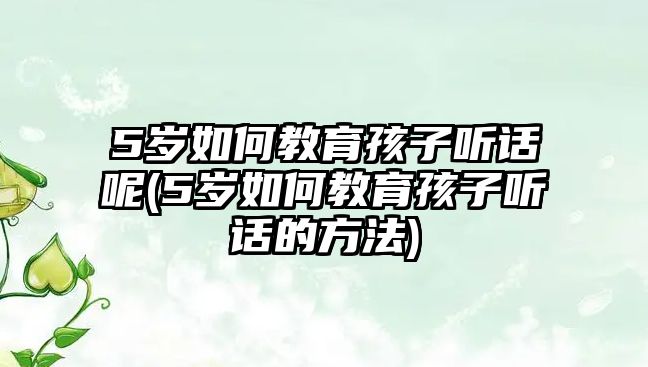 5歲如何教育孩子聽(tīng)話呢(5歲如何教育孩子聽(tīng)話的方法)