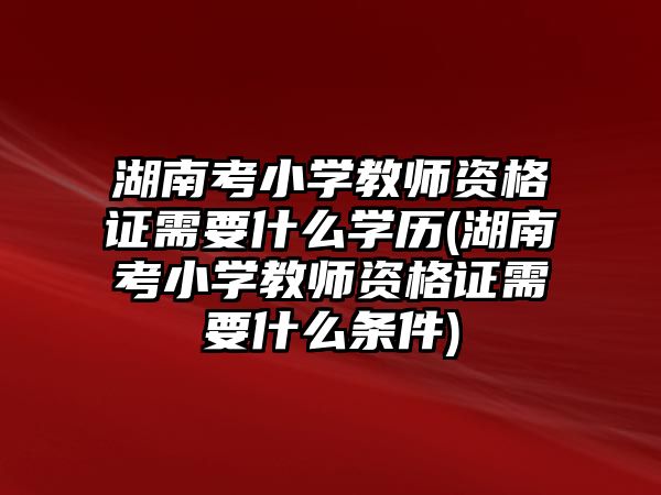 湖南考小學教師資格證需要什么學歷(湖南考小學教師資格證需要什么條件)