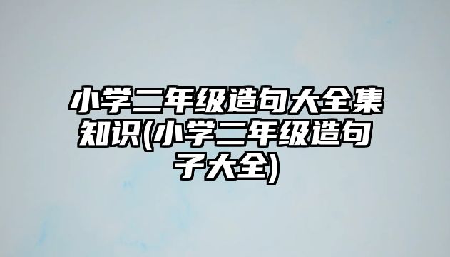 小學二年級造句大全集知識(小學二年級造句子大全)