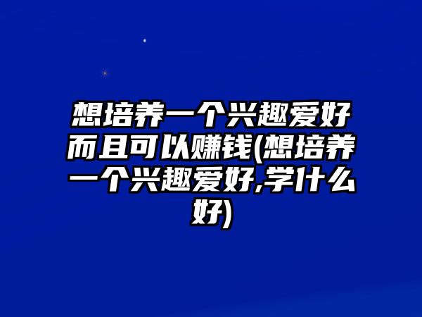 想培養(yǎng)一個(gè)興趣愛(ài)好而且可以賺錢(想培養(yǎng)一個(gè)興趣愛(ài)好,學(xué)什么好)