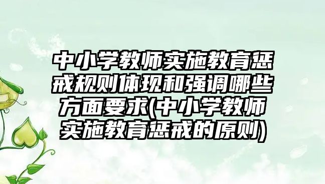 中小學教師實施教育懲戒規(guī)則體現(xiàn)和強調(diào)哪些方面要求(中小學教師實施教育懲戒的原則)