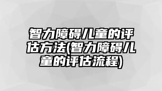 智力障礙兒童的評估方法(智力障礙兒童的評估流程)