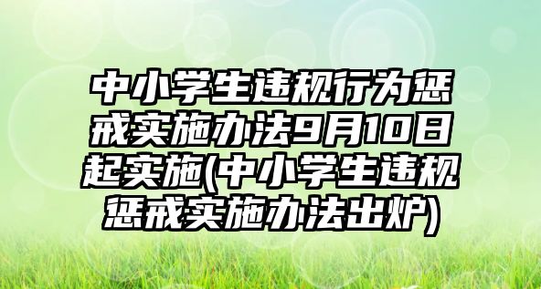 中小學(xué)生違規(guī)行為懲戒實施辦法9月10日起實施(中小學(xué)生違規(guī)懲戒實施辦法出爐)