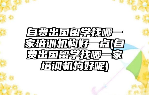 自費出國留學找哪一家培訓機構好一點(自費出國留學找哪一家培訓機構好呢)