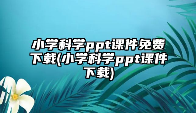 小學科學ppt課件免費下載(小學科學ppt課件下載)