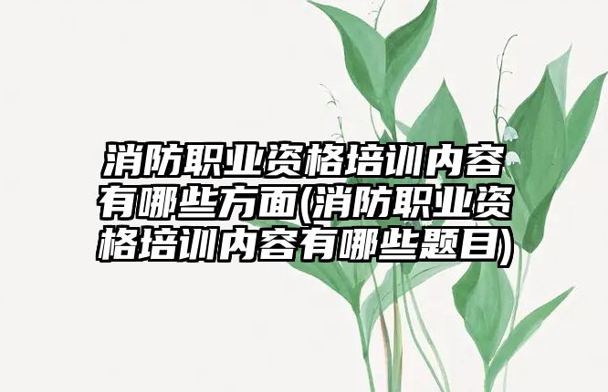 消防職業(yè)資格培訓內(nèi)容有哪些方面(消防職業(yè)資格培訓內(nèi)容有哪些題目)