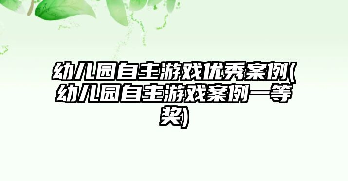 幼兒園自主游戲優(yōu)秀案例(幼兒園自主游戲案例一等獎(jiǎng))