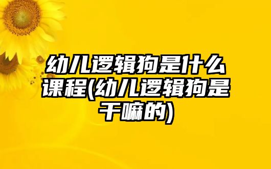 幼兒邏輯狗是什么課程(幼兒邏輯狗是干嘛的)