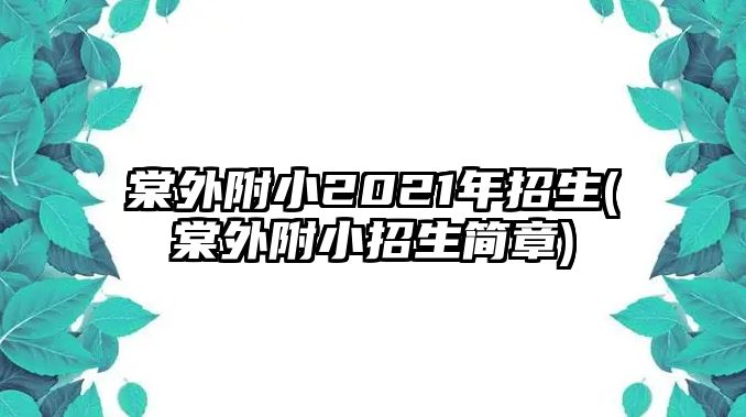 棠外附小2021年招生(棠外附小招生簡章)