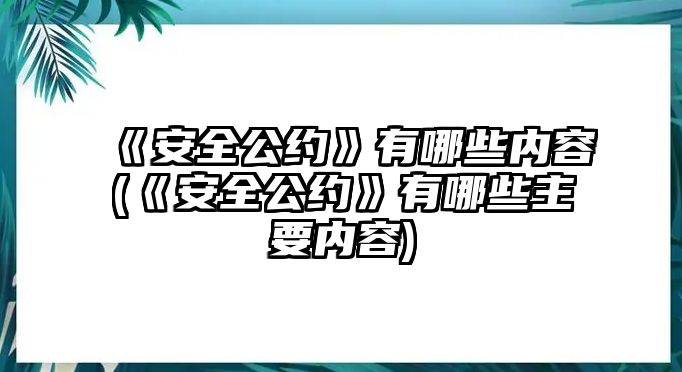 《安全公約》有哪些內容(《安全公約》有哪些主要內容)