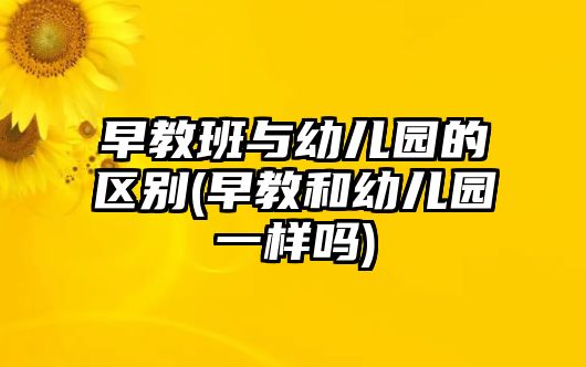 早教班與幼兒園的區(qū)別(早教和幼兒園一樣嗎)