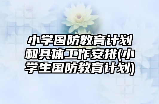 小學國防教育計劃和具體工作安排(小學生國防教育計劃)