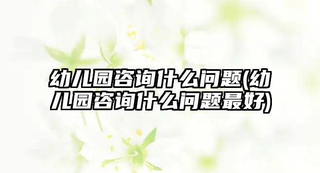 幼兒園咨詢什么問題(幼兒園咨詢什么問題最好)