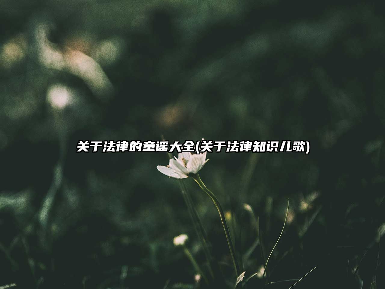 關于法律的童謠大全(關于法律知識兒歌)