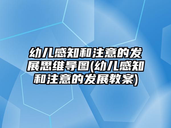 幼兒感知和注意的發(fā)展思維導圖(幼兒感知和注意的發(fā)展教案)