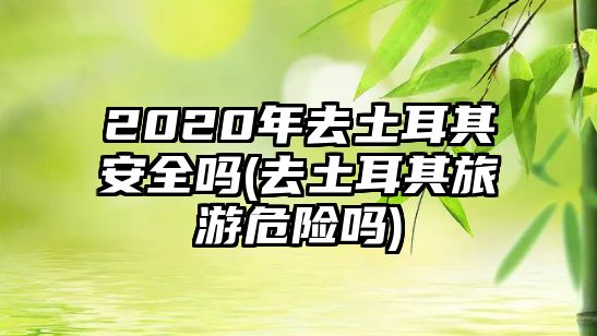 2020年去土耳其安全嗎(去土耳其旅游危險(xiǎn)嗎)