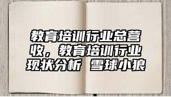 教育培訓(xùn)行業(yè)總營收，教育培訓(xùn)行業(yè)現(xiàn)狀分析 雪球小狼