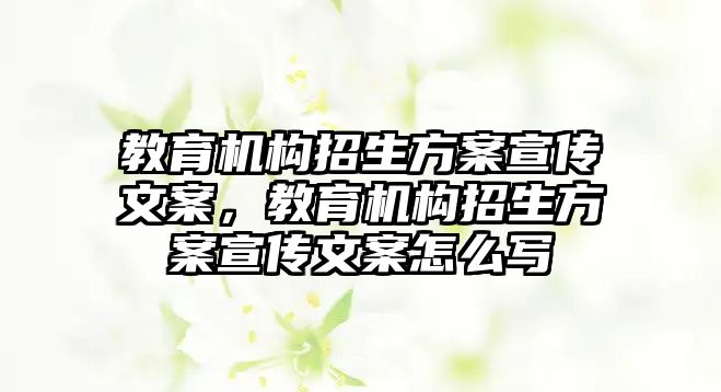 教育機構(gòu)招生方案宣傳文案，教育機構(gòu)招生方案宣傳文案怎么寫