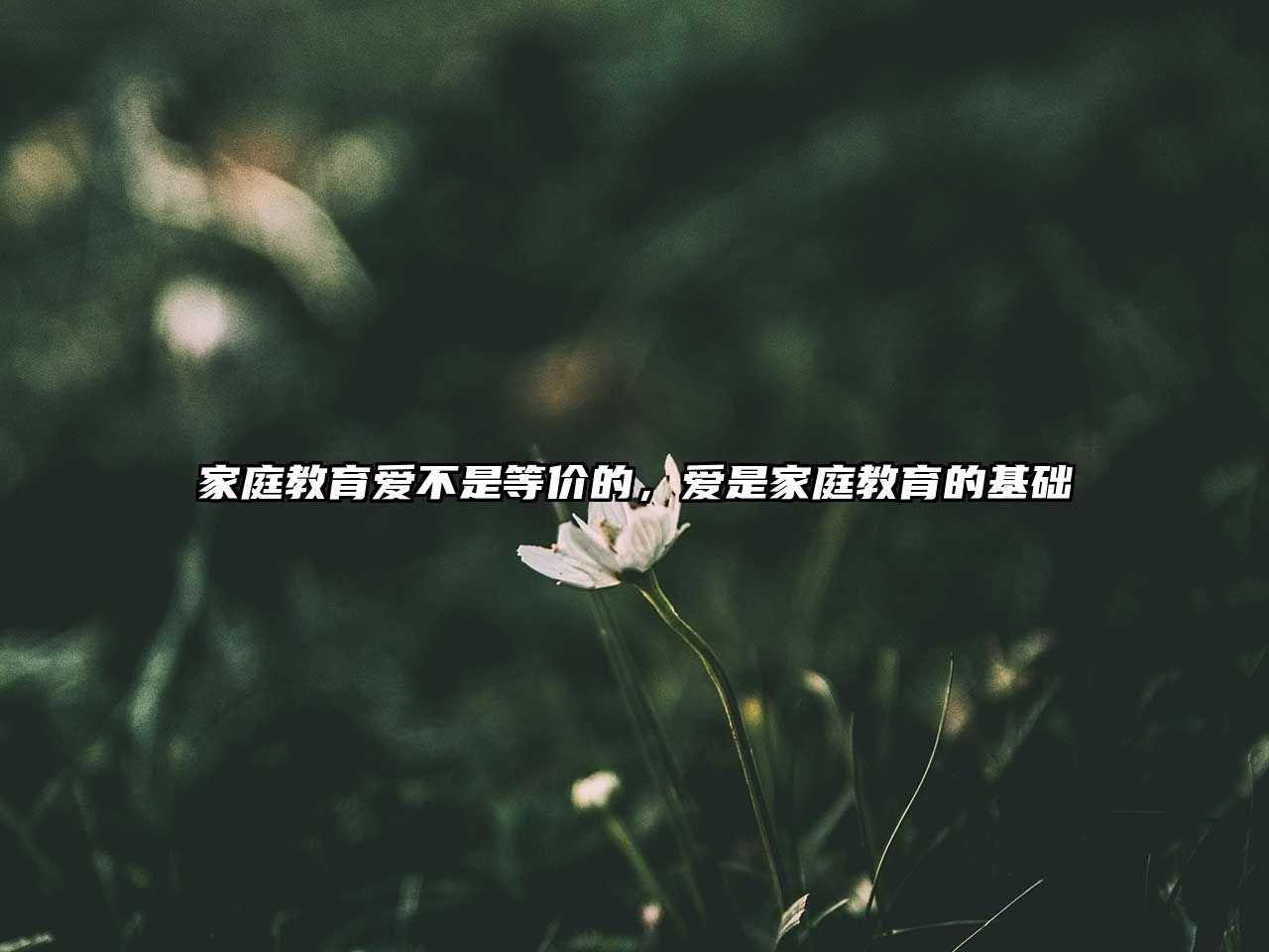 家庭教育愛不是等價的，愛是家庭教育的基礎(chǔ)