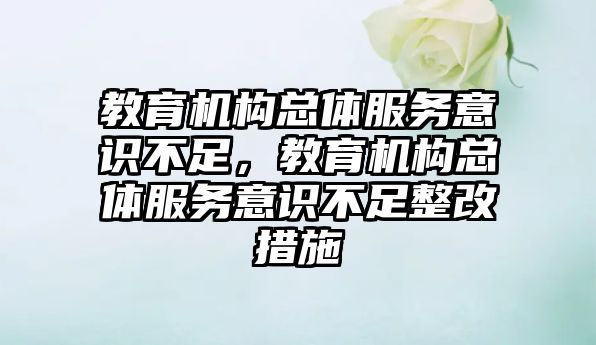 教育機構總體服務意識不足，教育機構總體服務意識不足整改措施