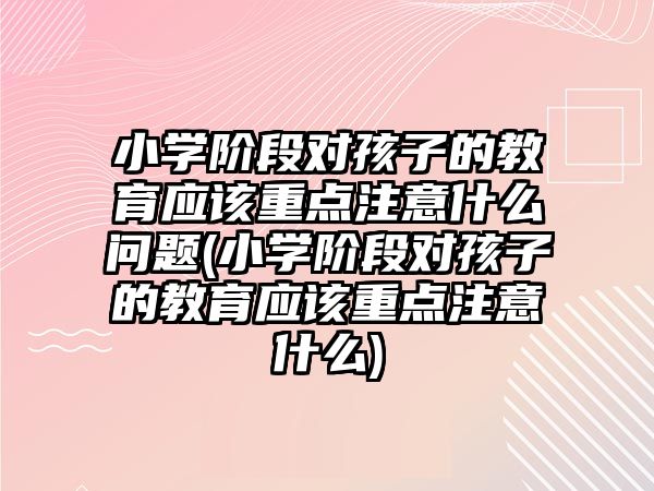 小學階段對孩子的教育應該重點注意什么問題(小學階段對孩子的教育應該重點注意什么)