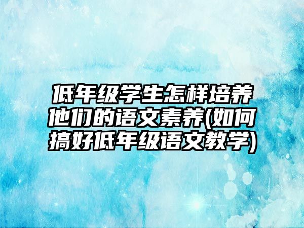 低年級學(xué)生怎樣培養(yǎng)他們的語文素養(yǎng)(如何搞好低年級語文教學(xué))