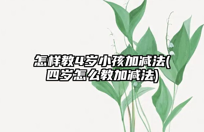 怎樣教4歲小孩加減法(四歲怎么教加減法)