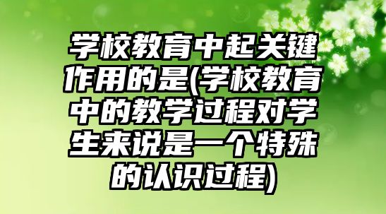 學校教育中起關鍵作用的是(學校教育中的教學過程對學生來說是一個特殊的認識過程)