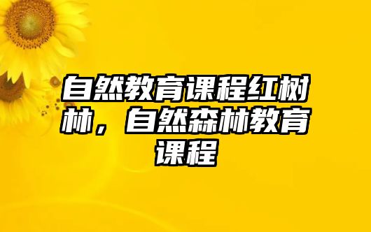 自然教育課程紅樹林，自然森林教育課程